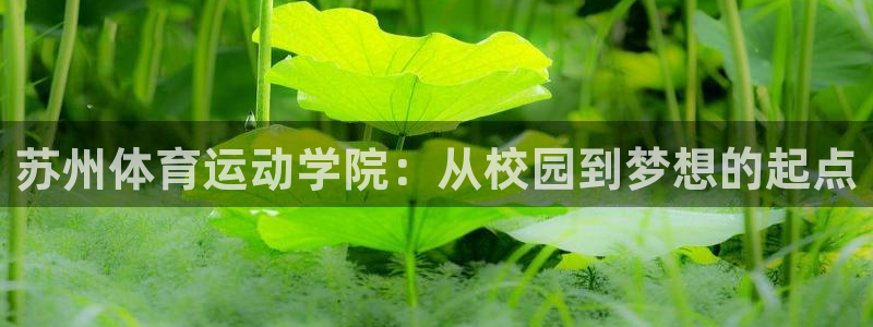 意昂5Kgame体育平台开号链接