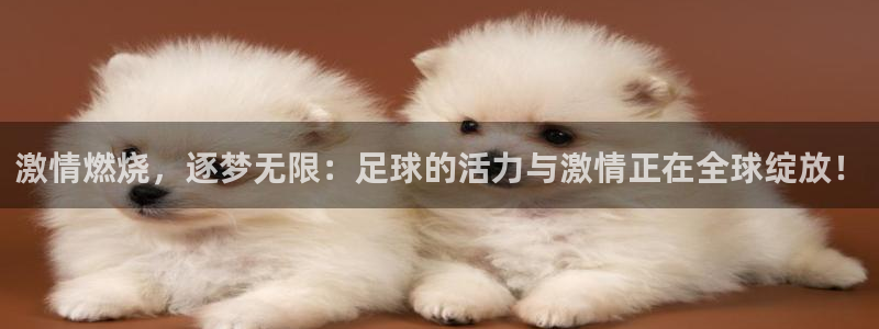 意昂5Kgame4平台