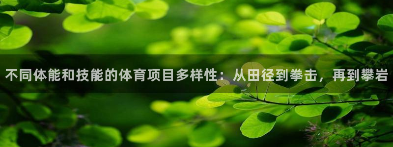 意昂5Kgame招商