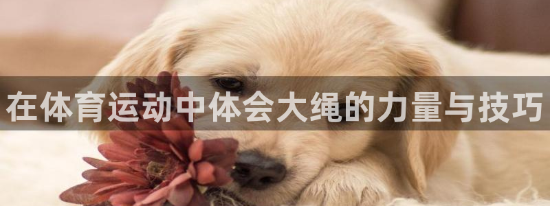 意昂5Kgame体育注册