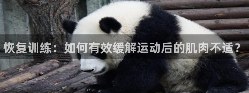 意昂5Kgame零能源集团