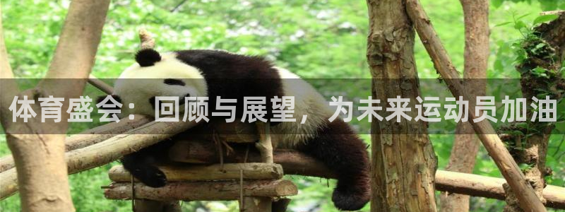 意昂5Kgame体育老板是谁