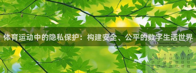 意昂5Kgame能源