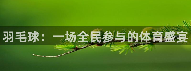 意昂5Kgame代理注册官网入口