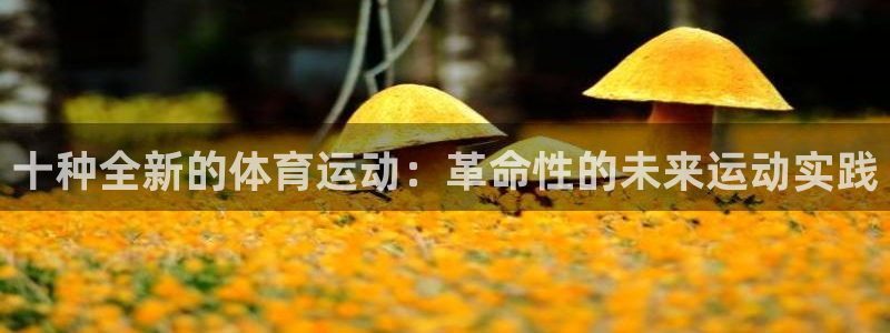 意昂5Kgame凯捷平台注册链接